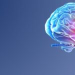 Behaviour and the Brain: Supporting Children and Young People