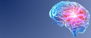 Behaviour and the Brain: Supporting Children and Young People